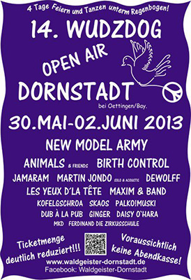 Open-Air-Dornstadt-2013